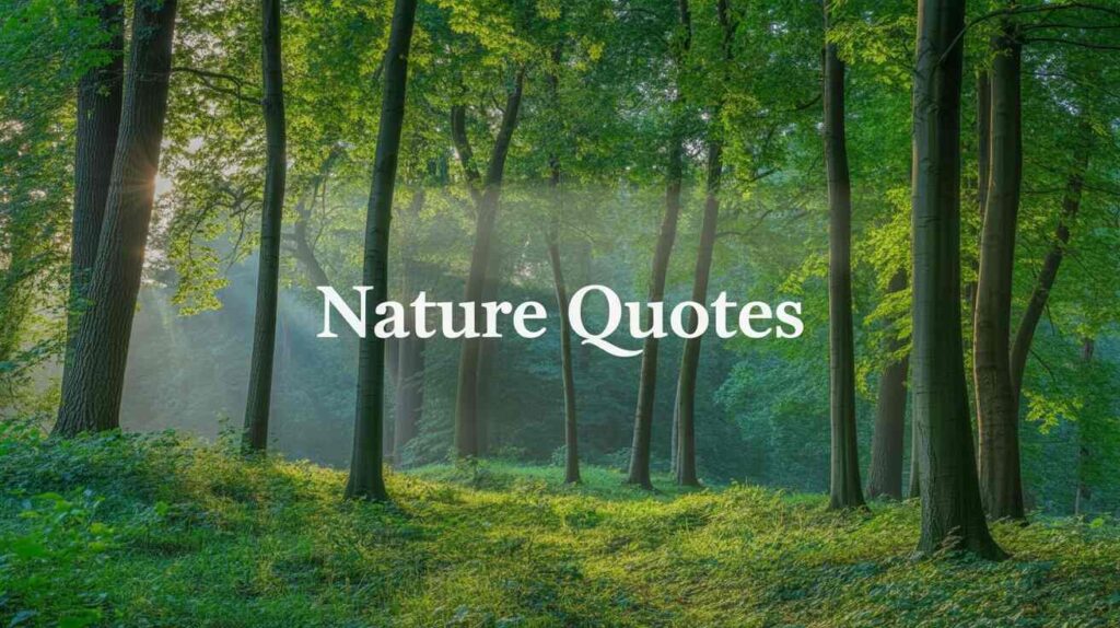 "Sunlight streaming through a peaceful green forest with 'Nature Quotes' text in the center."
