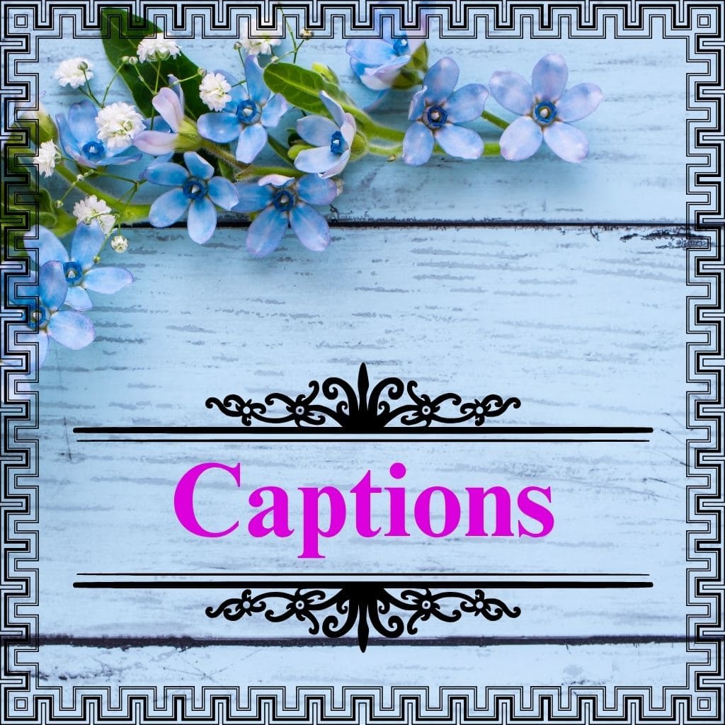 captions