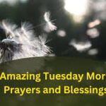 Tuesday Morning Blessings